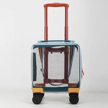 Прозрачный 14-дюймовый детский багаж с веревочным чемоданом Универсальное колесо 20-дюймовые мужские