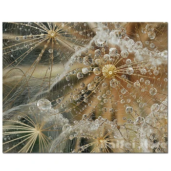 5D Diy Алмазная живопись Водяной одуванчик, полная квадратная круглая алмазная вышивка крестиком, свадебное украшение ZP-3049