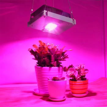 Светодиодный светильник для выращивания растений полного спектра 100 Вт 3000 К 3500 К 5000 К Светоотдача для внутреннего гидропонного освещения для выращивания растений в теплице